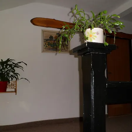 Penzion Pension Rychta Hojsova Stráž