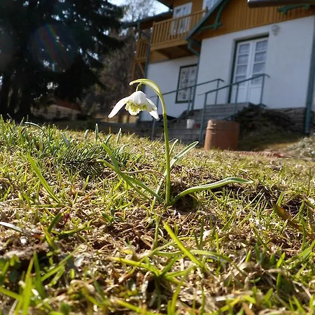 Penzion Pension Rychta
