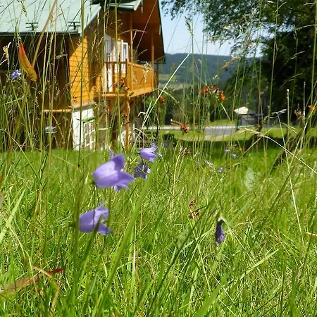 Penzion Pension Rychta