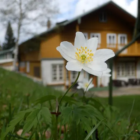 Penzion Pension Rychta Hojsova Stráž
