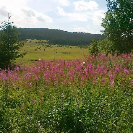 Penzion Pension Rychta 3*